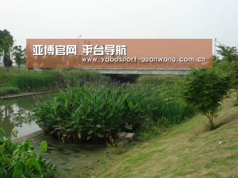 案例展示四(图1)
