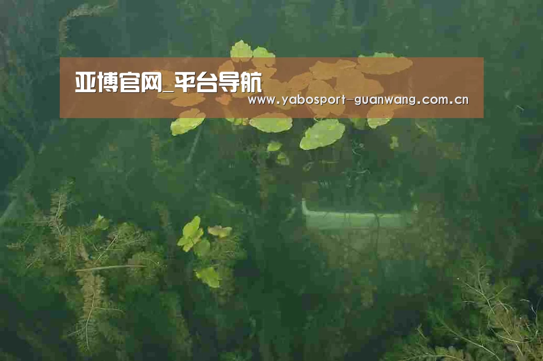 案例展示三(图1)