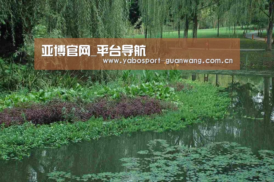 案例展示一(图1)
