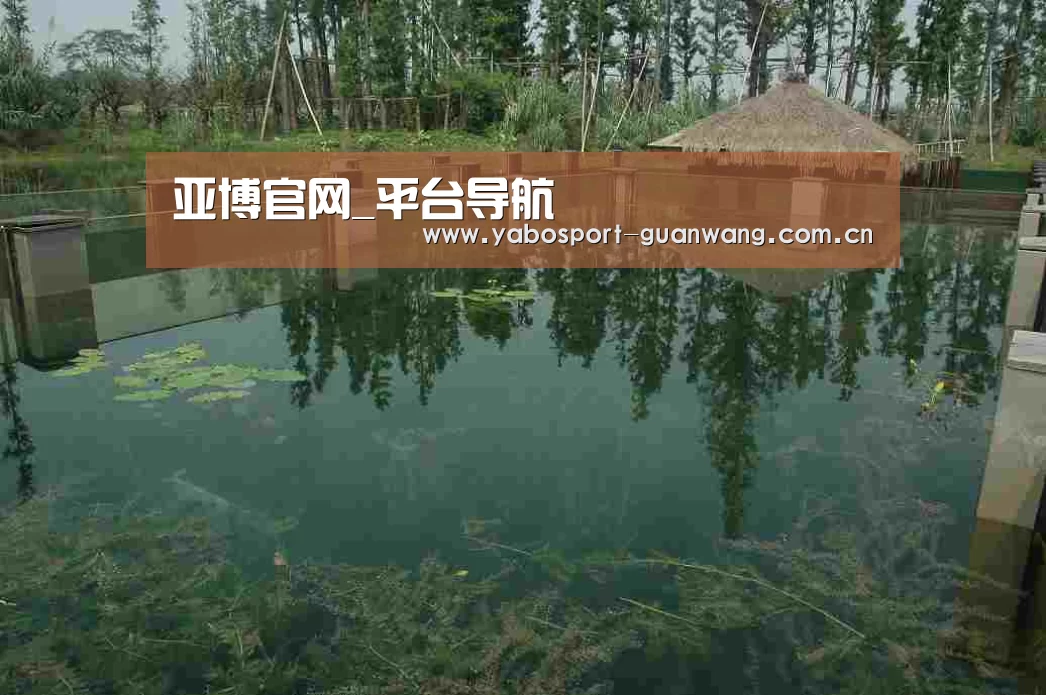 案例展示二(图1)