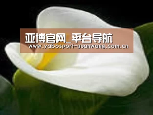 产品名称七
