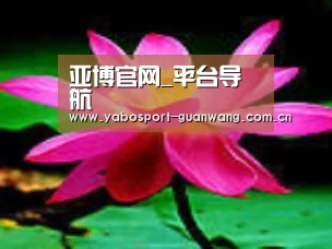 产品名称五