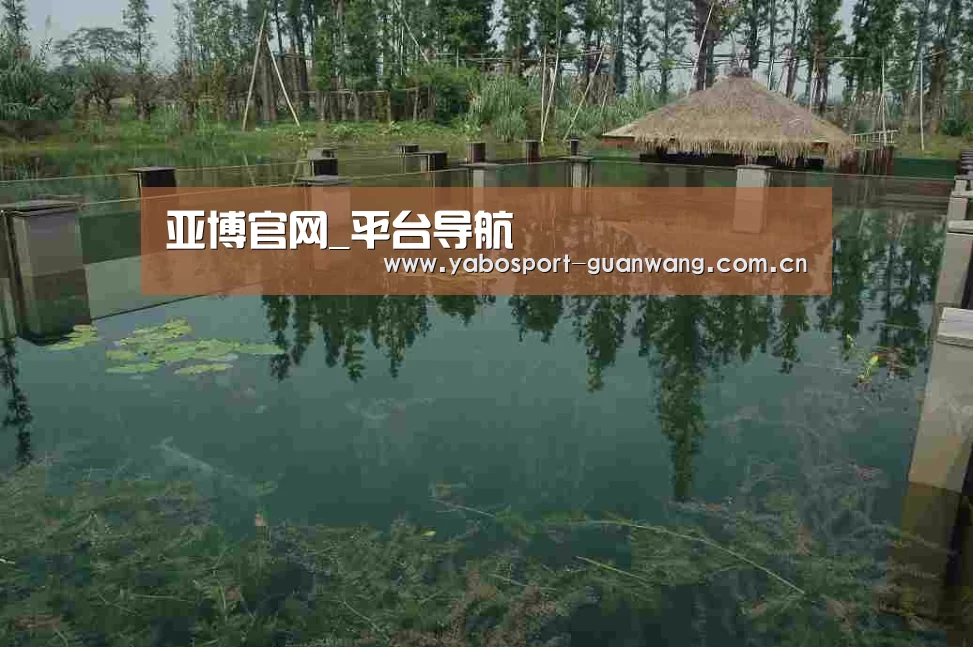 案例展示二