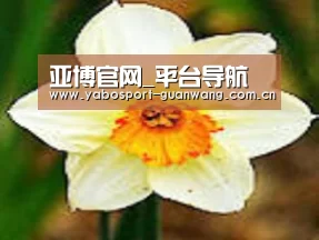 产品名称四