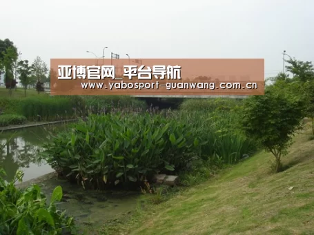 案例展示四