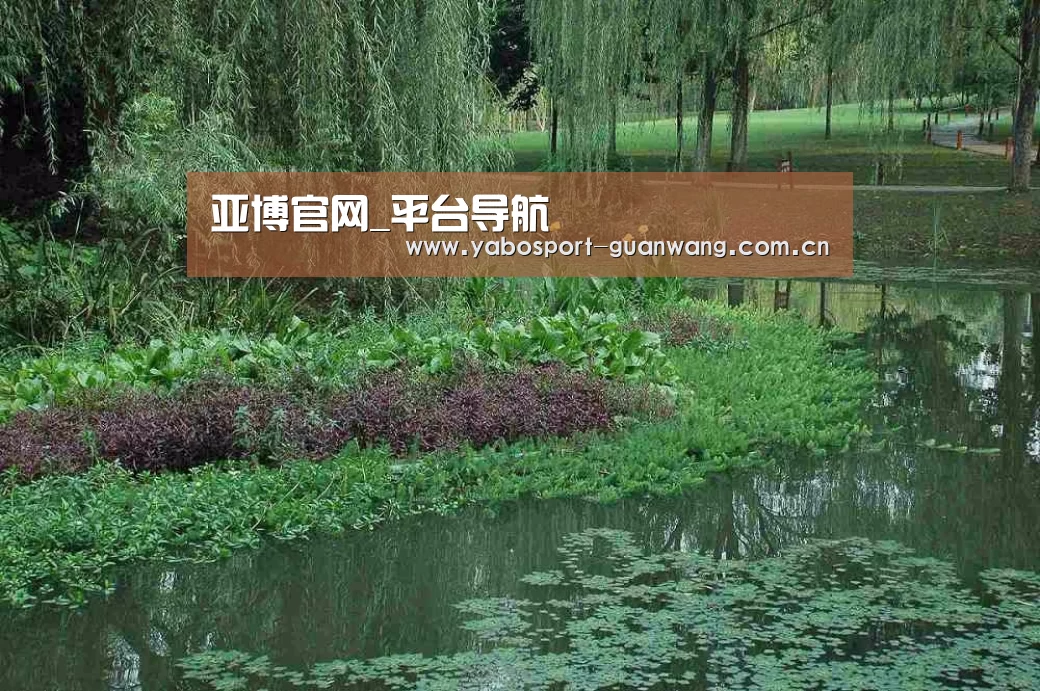 案例展示一