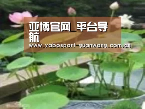 产品名称一