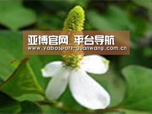 产品名称三