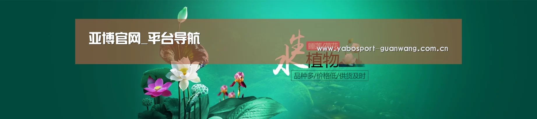 鲜花水草花卉网站模板