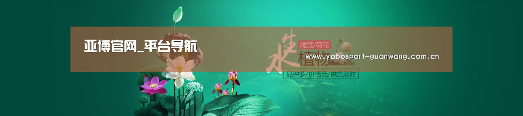 鲜花水草花卉网站模板