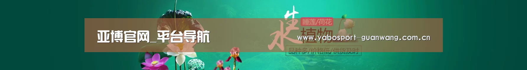 鲜花水草花卉网站模板