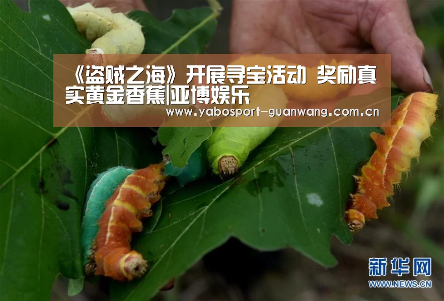 《盗贼之海》开展寻宝活动 奖励真实黄金香蕉|亚博娱乐(图3) 亚博娱乐