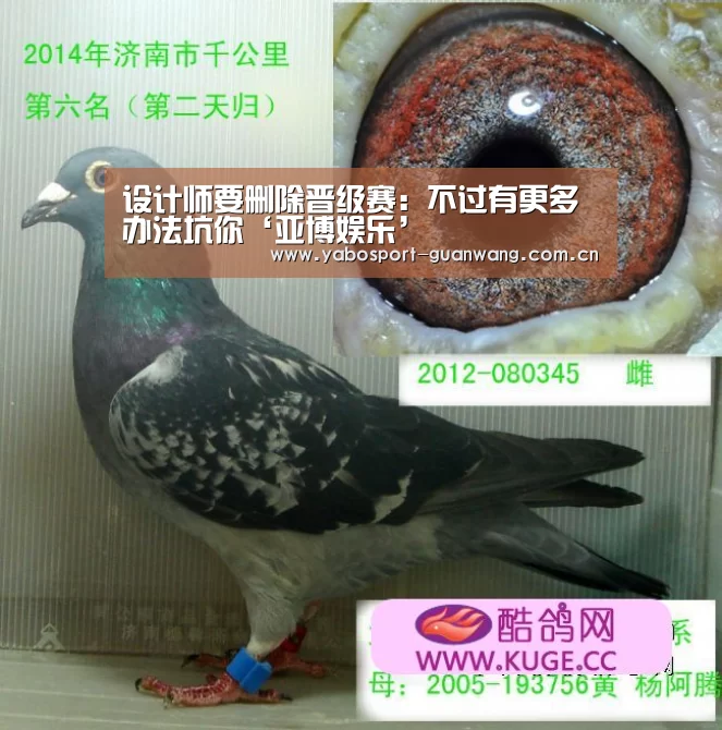 设计师要删除晋级赛:不过有更多办法坑你‘亚博娱乐’(图3) 亚博棋牌