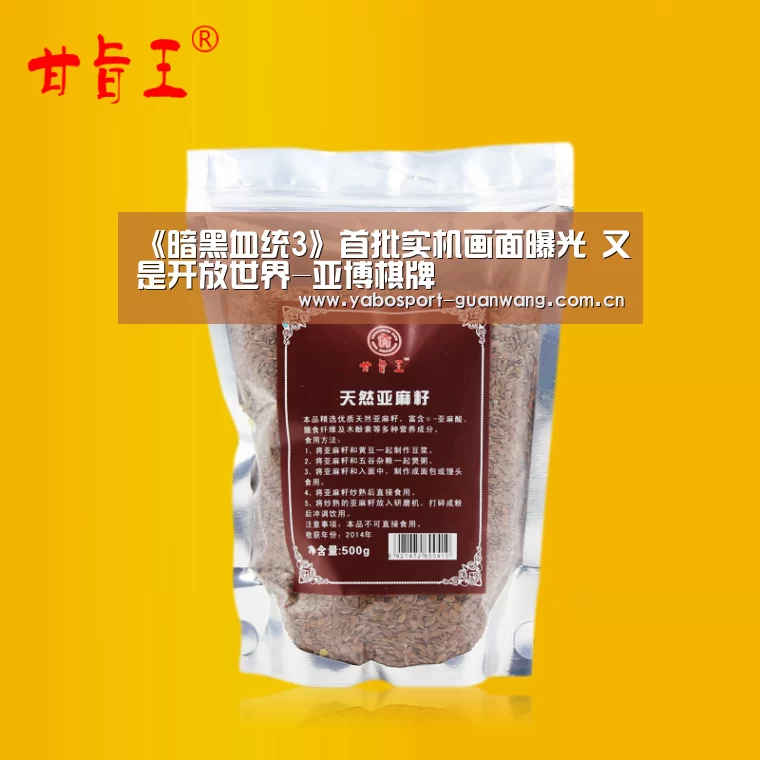 《暗黑血统3》首批实机画面曝光 又是开放世界-亚博棋牌(图3) 亚博娱乐