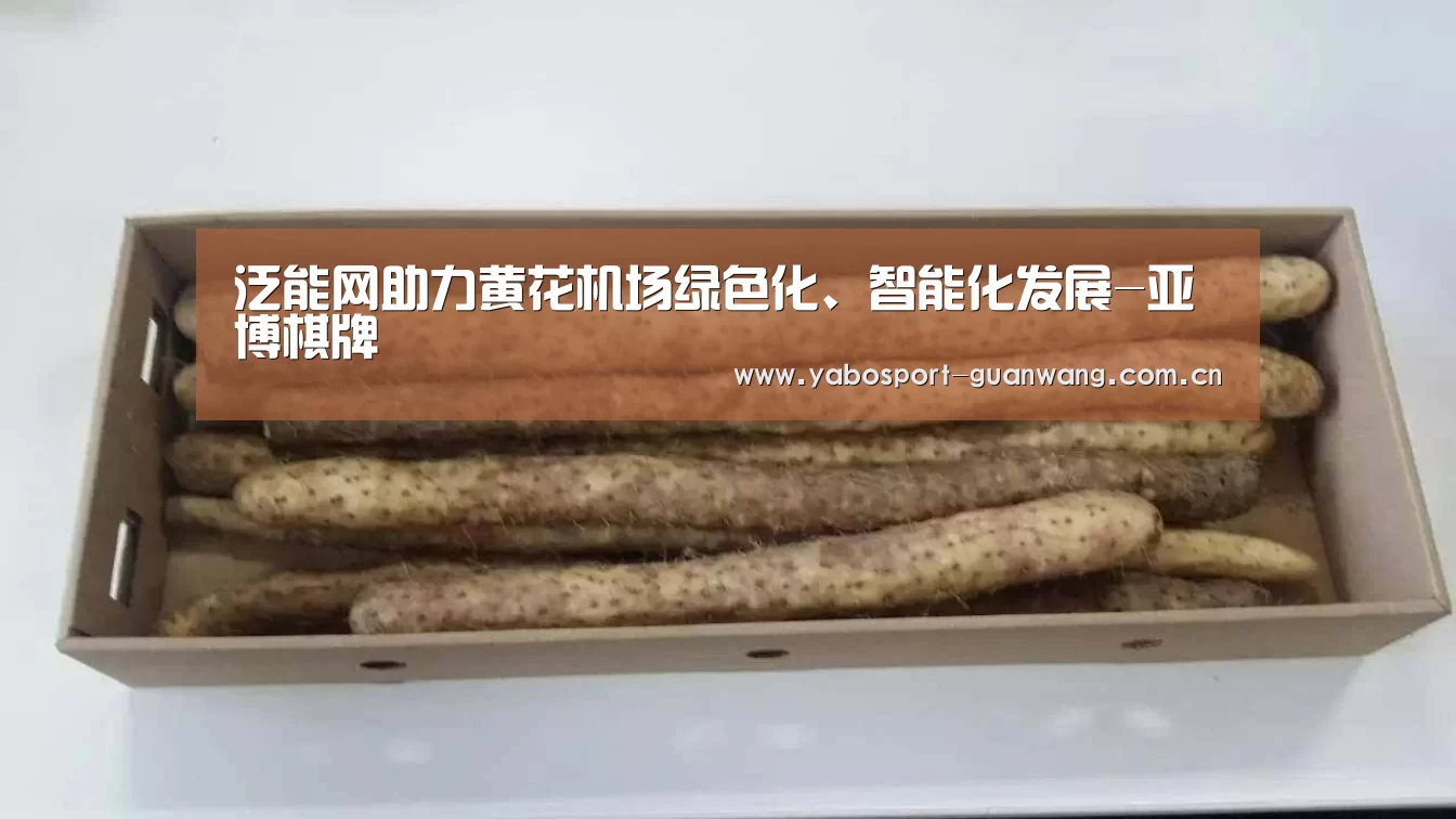 亚博首页