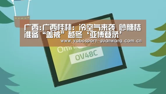 广西:广西桂林：冷空气来袭 砂糖桔准备“盖被”越冬‘亚博登录’
